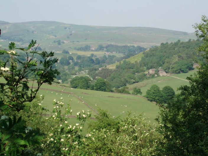 Gradbach