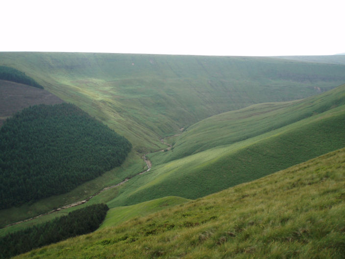 Alport Dale