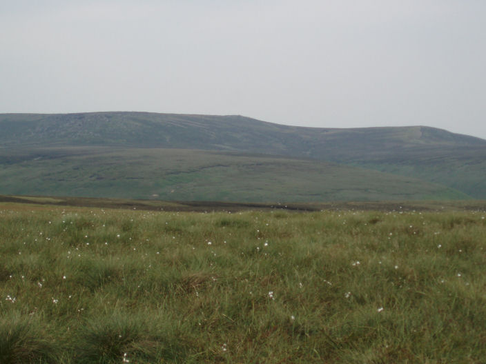 Fairbrook Naze