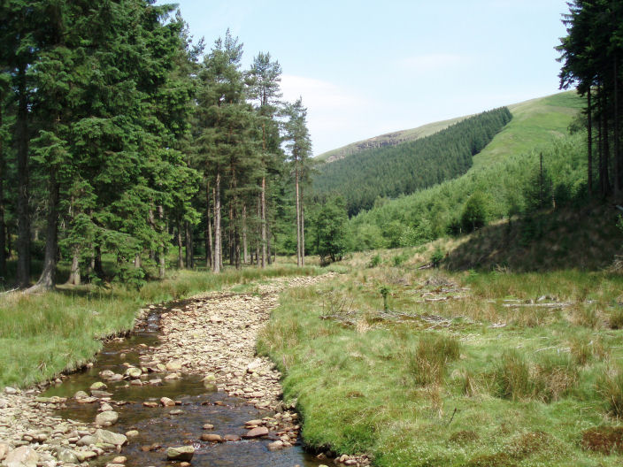 Ridge Upper Moor