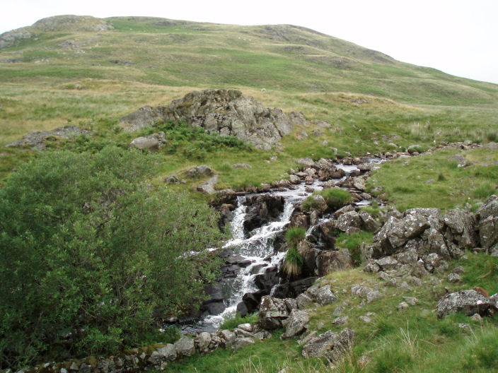 Linbeck Gill