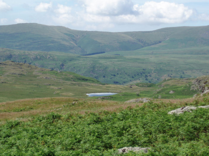 Whin Rigg & Illgill Head