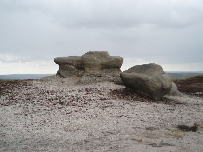 Kinder Low