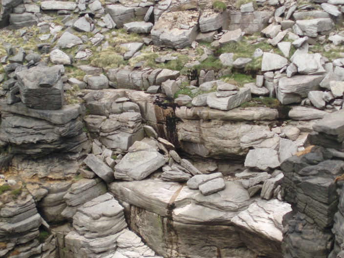 Kinder Downfall