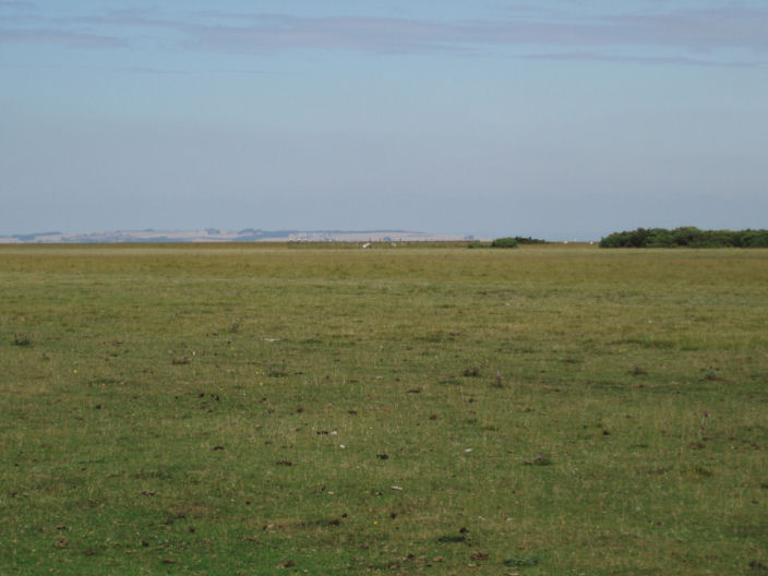 Cleeve Hill