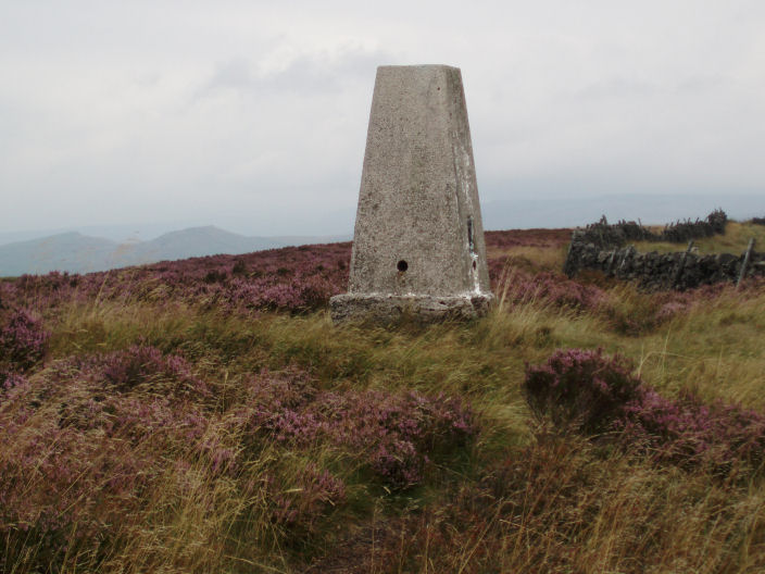 Combs Moss trig