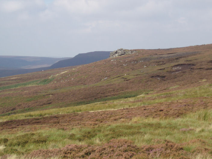 Bull Stones