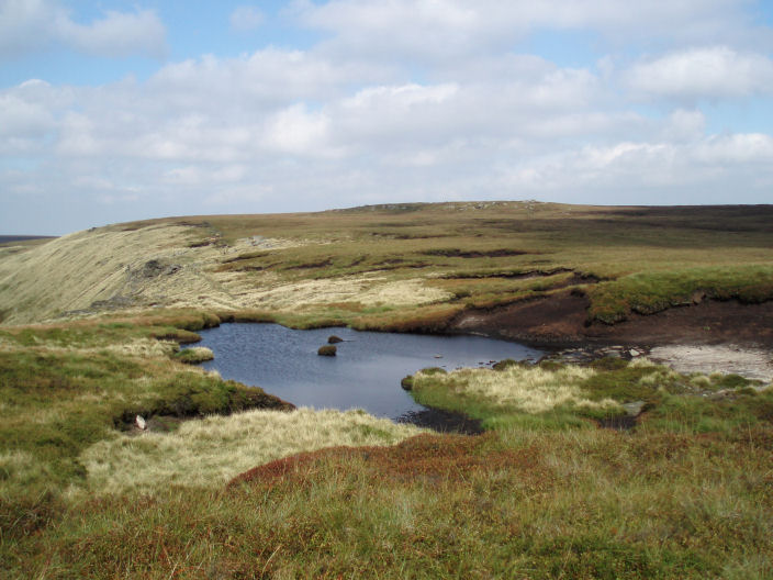 Margery Hill from Wilfrey Edge