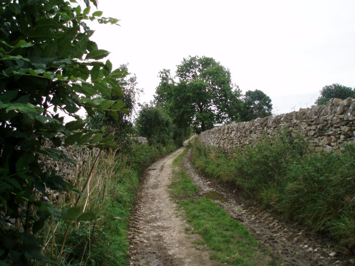 Limestone Way