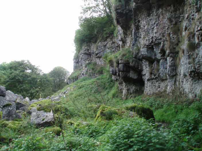 Ricklow Quarry