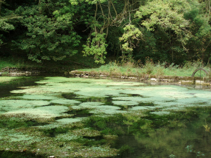 Bradford Dale