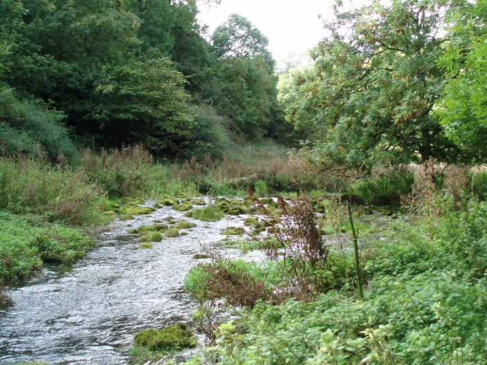 River Lathkill