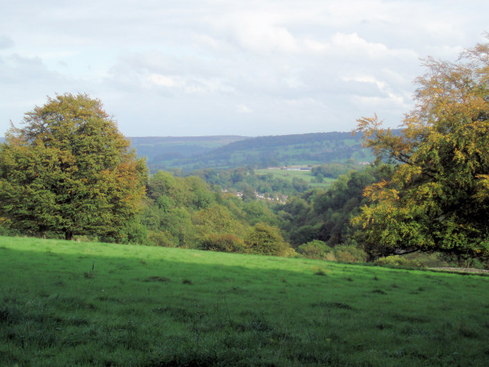 Above Bradford Dale