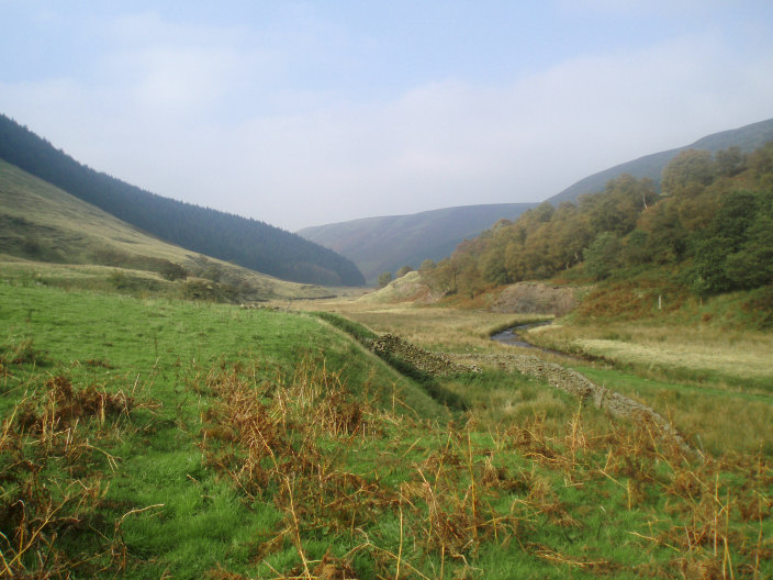 Alport Dale