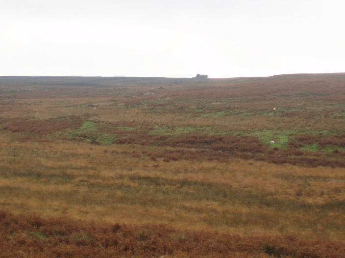 Gibbet Moor