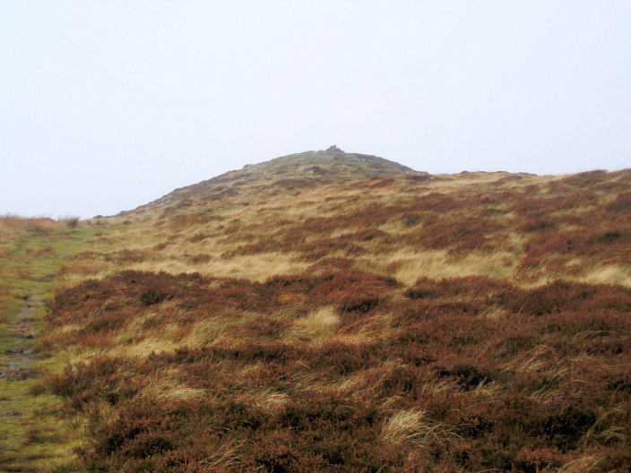 Binsey's summit