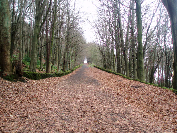 High Peak Trail