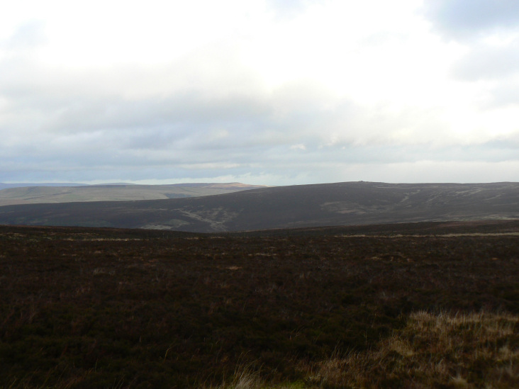 Goyt's Moss