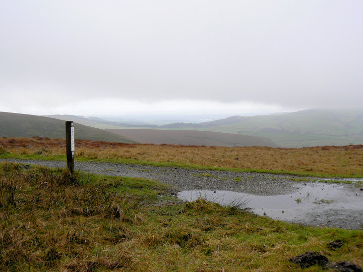 Macclesfield Forest