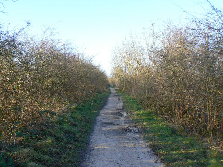 Tissington Trail