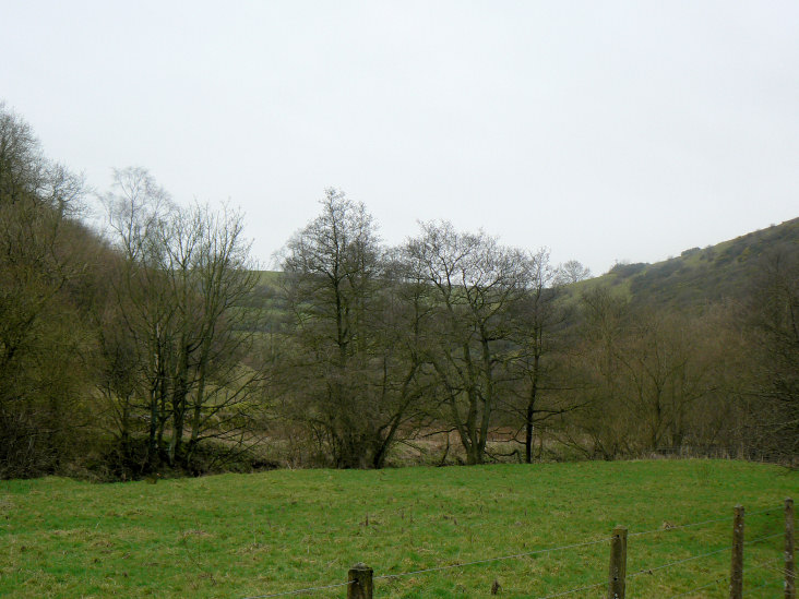 Manifold Valley