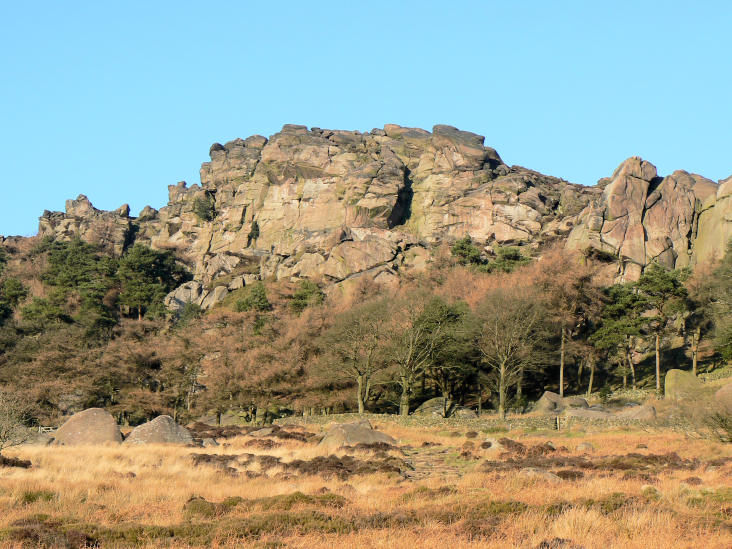 The Roaches