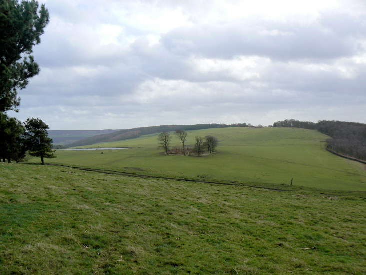 Calton Pastures