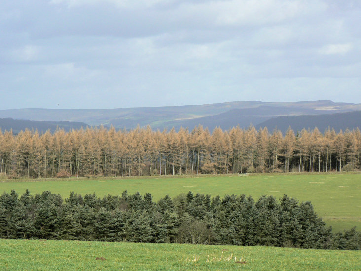 Stanage Edge