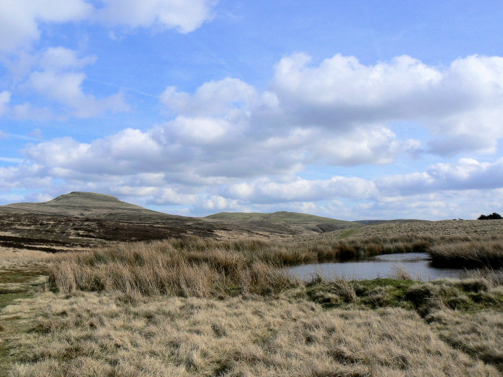 High Moor