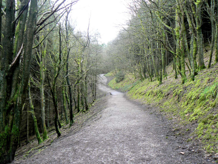 Macclesfield Forest