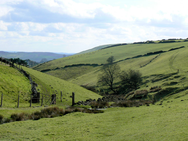 Oaken Clough