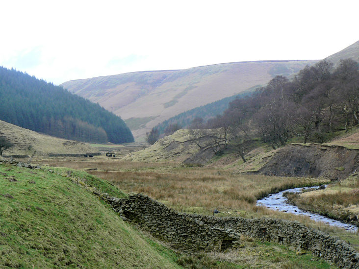 Alport Dale