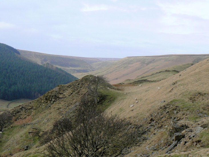 Alport Dale