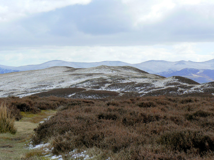 Whinlatter Top