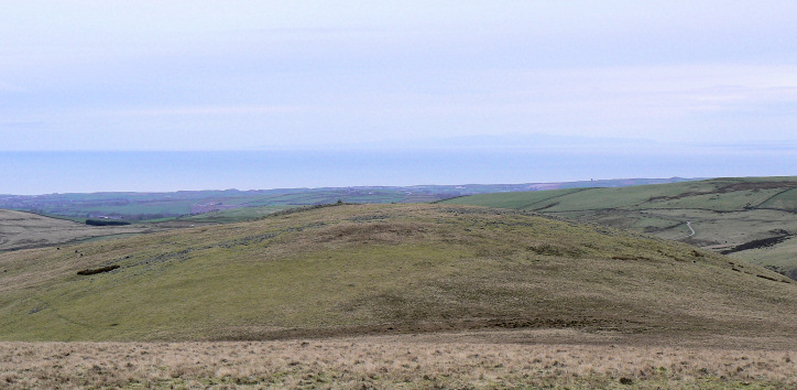 Latter Barrow