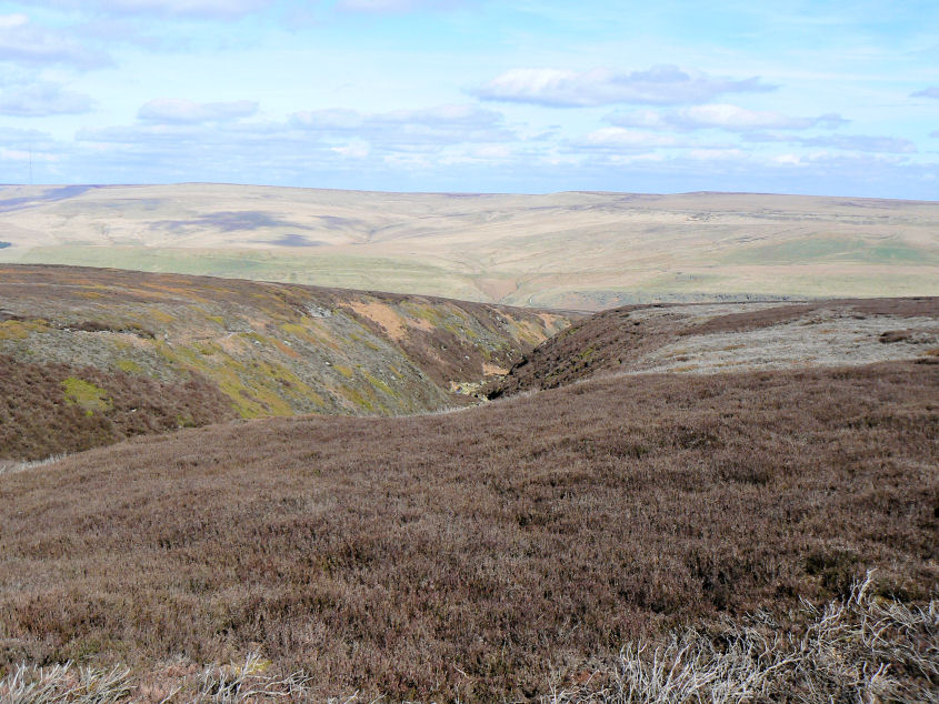 Withens Moor