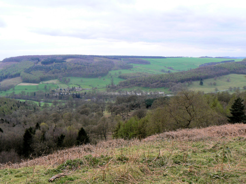 Calton Pastures