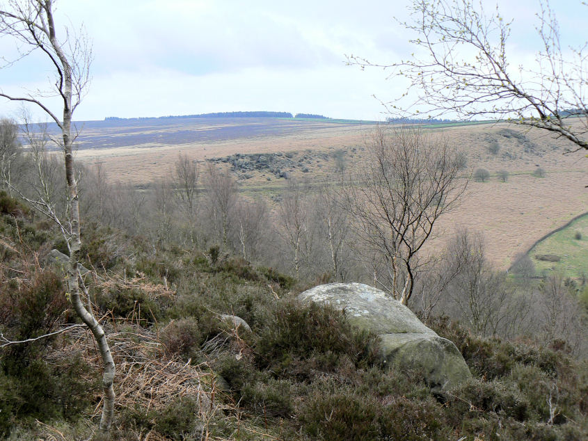 Gibbet Moor