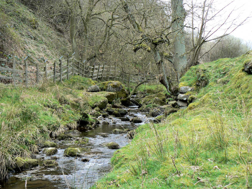 Heathy Lea Brook