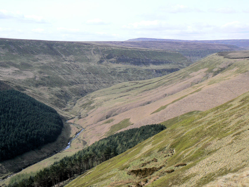 Alport Dale