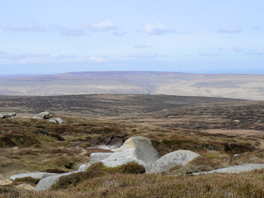 Featherbed Moss