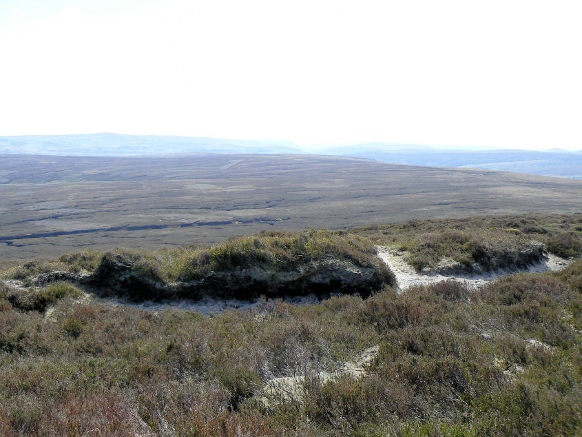 Ridgewalk Moor