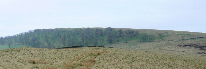 Burbage Edge