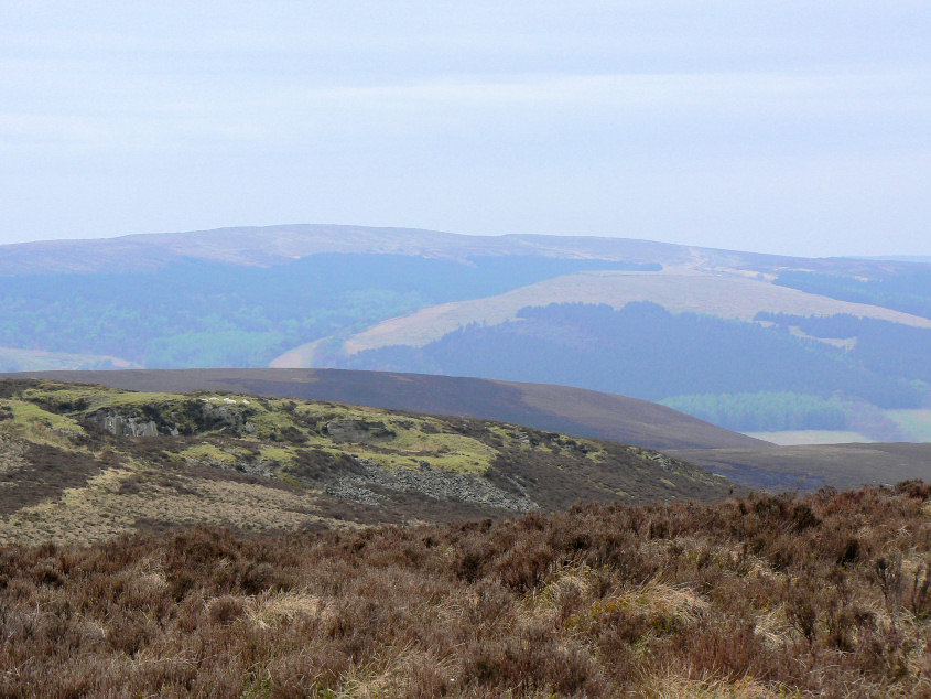 The Tors