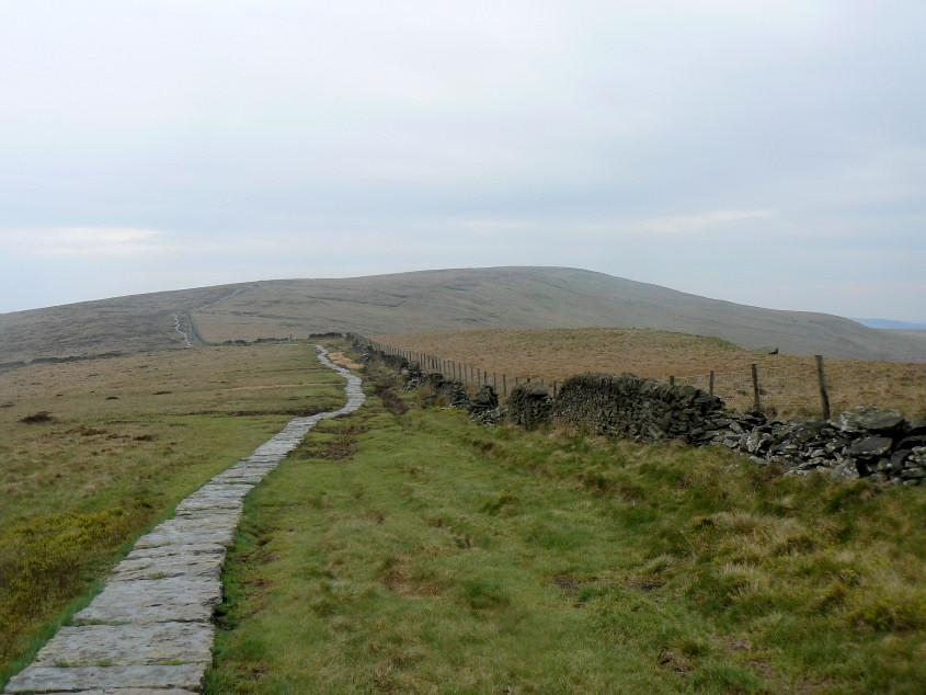 The Tors