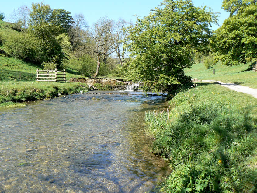 Bradford Dale