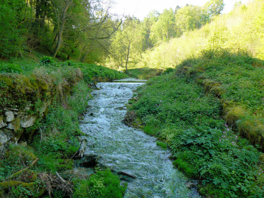 Bradford Dale