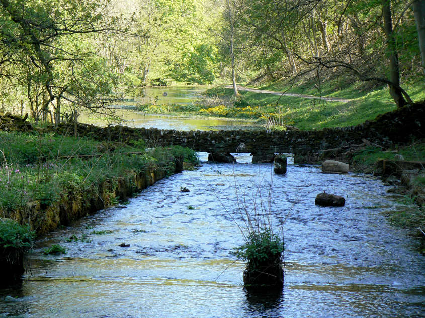 Bradford Dale