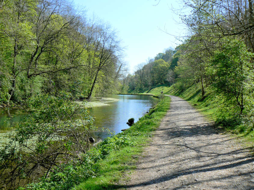 Bradford Dale