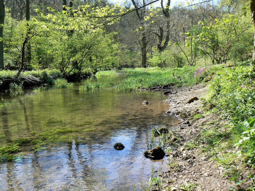 Lathkill Dale